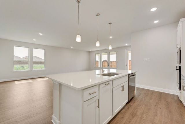 4124 Blackbird Avenue, Little Elm, TX 75068