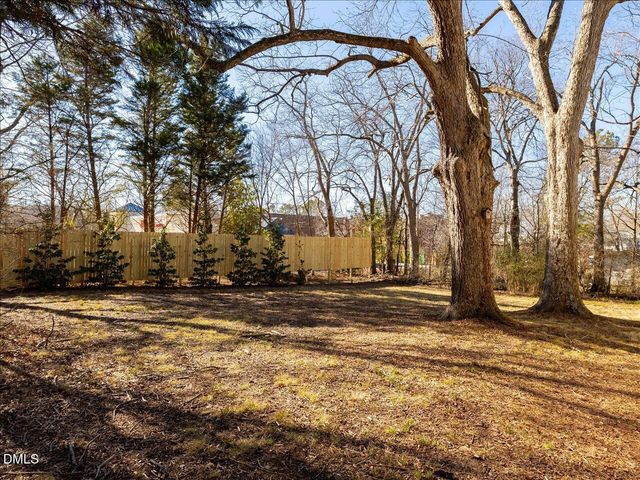 298 E Salisbury Street, Pittsboro, NC 27312