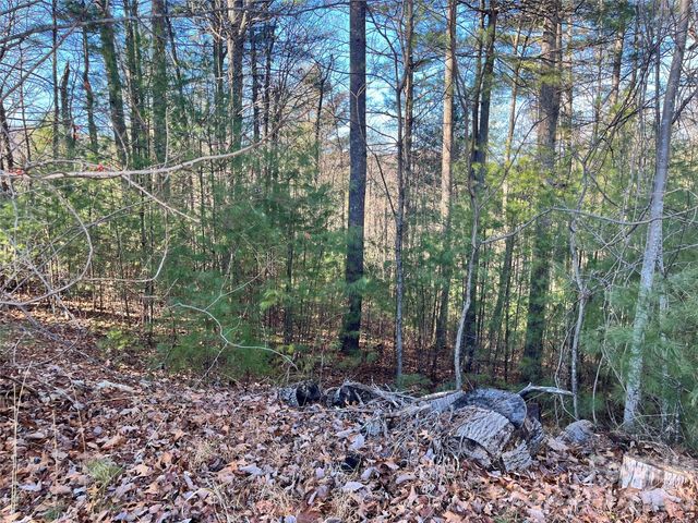 999 Trellum Trail 12, Hendersonville, NC 28739