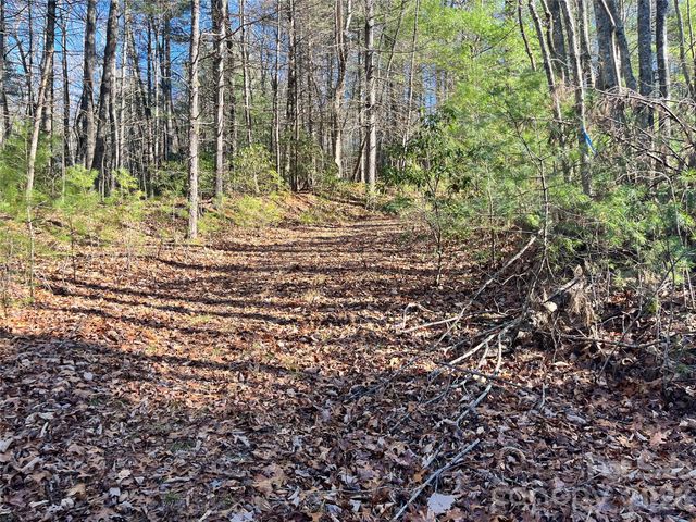 999 Trellum Trail 12, Hendersonville, NC 28739