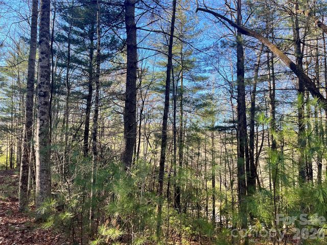 999 Trellum Trail 12, Hendersonville, NC 28739