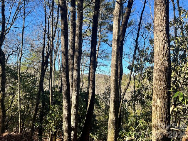 999 Trellum Trail 12, Hendersonville, NC 28739