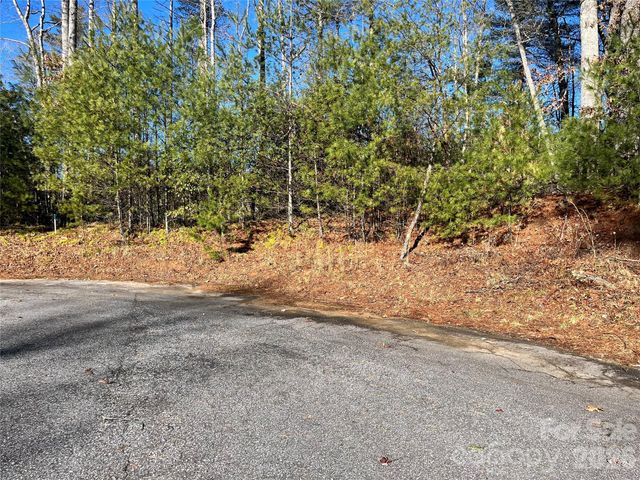 999 Trellum Trail 12, Hendersonville, NC 28739