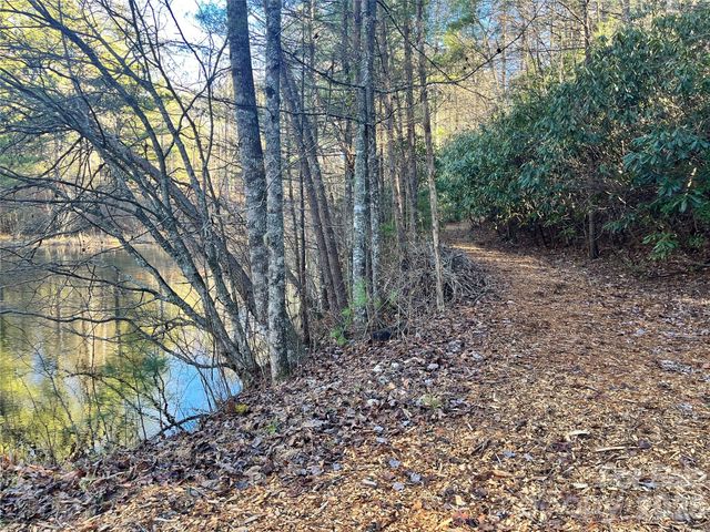 999 Trellum Trail 12, Hendersonville, NC 28739