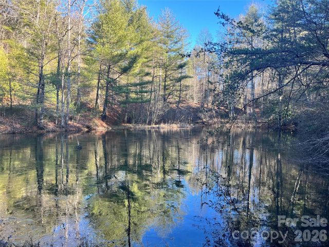 999 Trellum Trail 12, Hendersonville, NC 28739