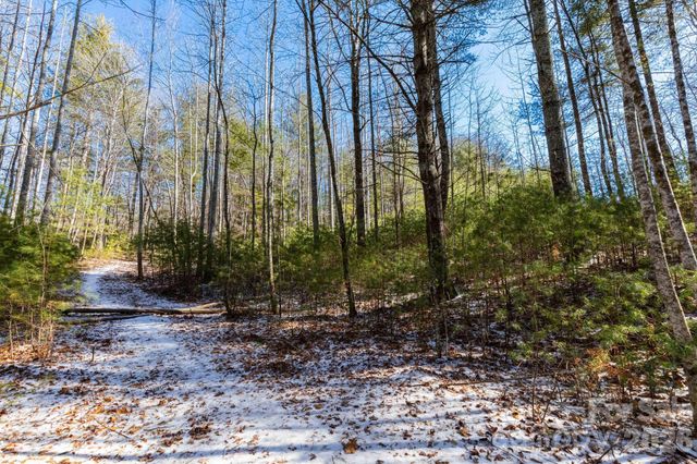 999 Trellum Trail 12, Hendersonville, NC 28739