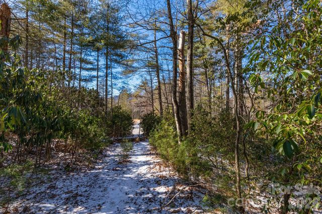 999 Trellum Trail 12, Hendersonville, NC 28739