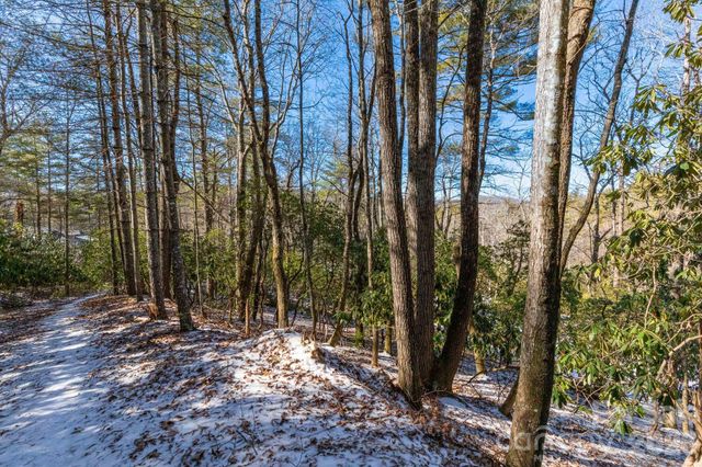 999 Trellum Trail 12, Hendersonville, NC 28739