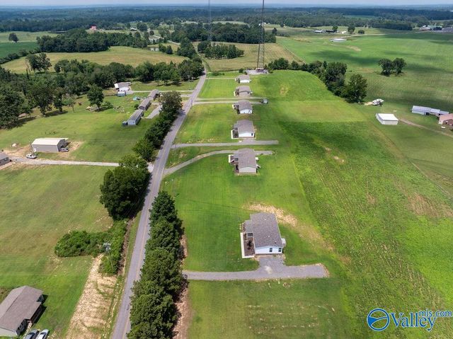 222 County Road 732, Henagar, AL 35978