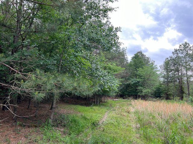Tract 3 English Road, Bedias, TX 77831