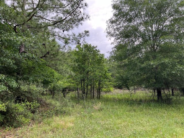 Tract 3 English Road, Bedias, TX 77831