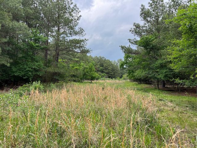 Tract 3 English Road, Bedias, TX 77831