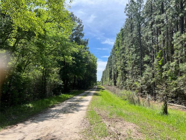 Tract 3 English Road, Bedias, TX 77831