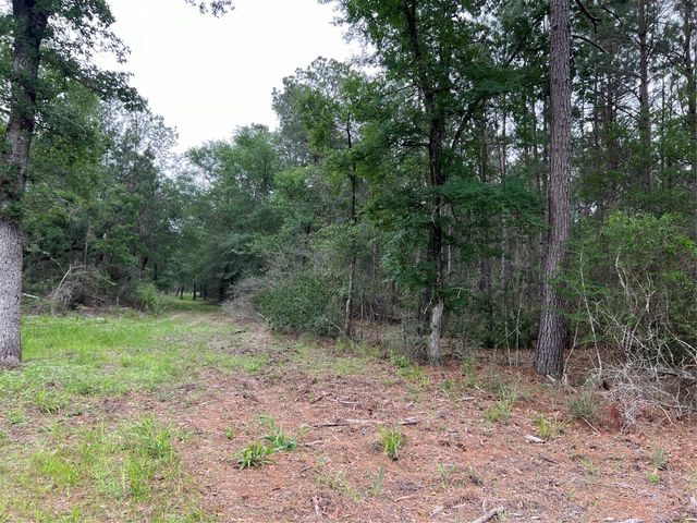Tract 3 English Road, Bedias, TX 77831