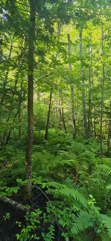 041 Moosewa Trail, Otisfield, ME 04270 — photo 2