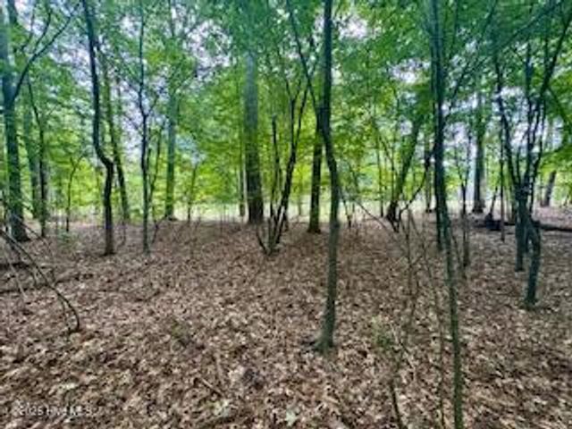 50 & 51 Chestnut Street, Hertford, NC 27944