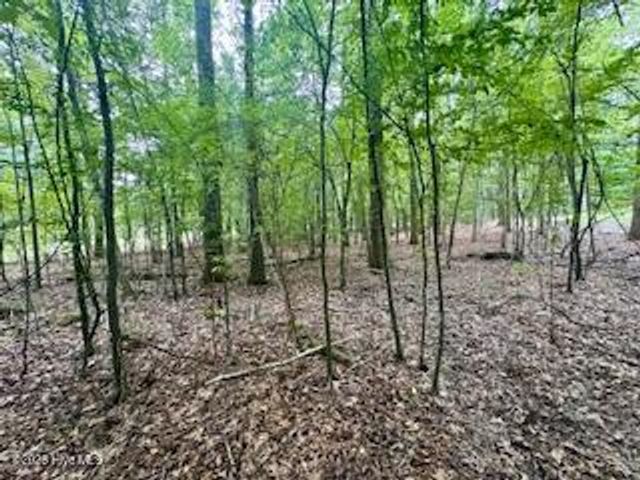 50 & 51 Chestnut Street, Hertford, NC 27944