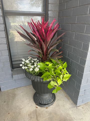 209 Chestnut, Van, TX 75790