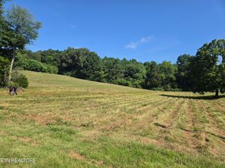 115 Billingsley Rd, Sweetwater, TN 37874