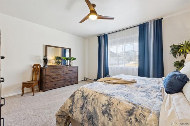 4555 Gray Wolf Lane, Castle Rock, CO 80104