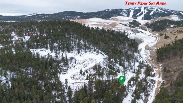 21120 GILDED MOUNTAIN RD, Lead, SD 57754