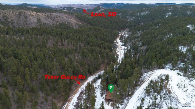 21120 GILDED MOUNTAIN RD, Lead, SD 57754