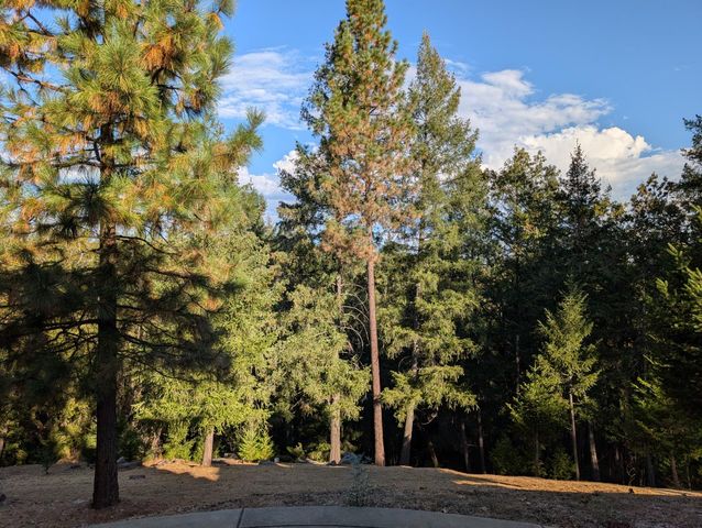 21895 One Fine Pl, Colfax, CA 95713