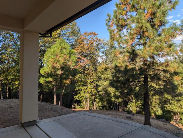 21895 One Fine Pl, Colfax, CA 95713