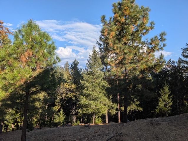 21895 One Fine Pl, Colfax, CA 95713
