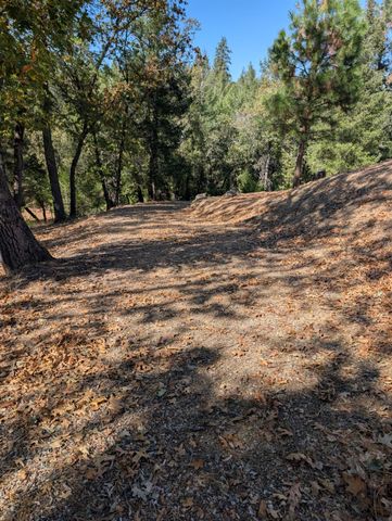 21895 One Fine Pl, Colfax, CA 95713