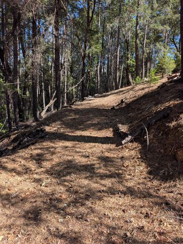 21895 One Fine Pl, Colfax, CA 95713