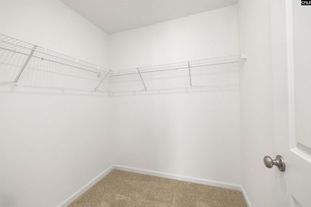 839 Lodgepole Lane, West Columbia, SC 29170