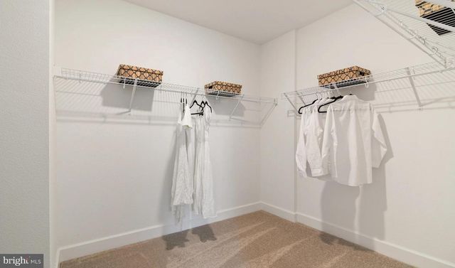 TBB REFORMATION DRIVE OR VALOR LANE, Martinsburg, WV 25405