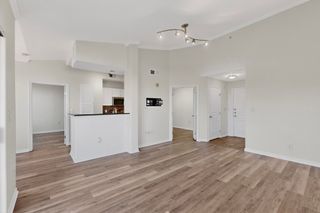 330 Las Colinas Boulevard E 418, Irving, TX 75039