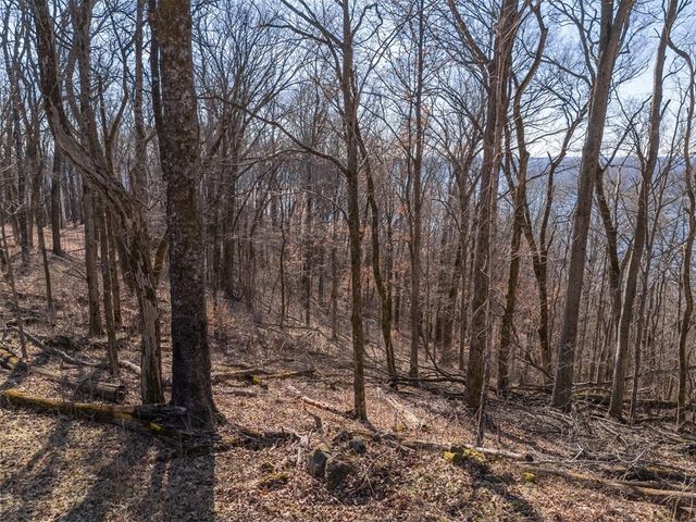 28 Back Ranch Dr, Silver Point, TN 38582