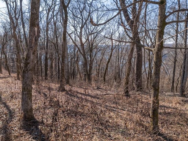 28 Back Ranch Dr, Silver Point, TN 38582
