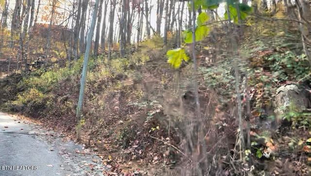 Emerald Springs Loop, Sevierville, TN 37862