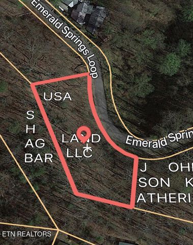 Emerald Springs Loop, Sevierville, TN 37862