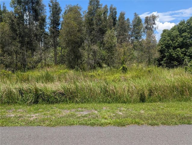 ARBOREA DRIVE N, Indian Lake Estates, FL 33855