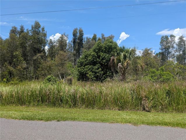 ARBOREA DRIVE N, Indian Lake Estates, FL 33855