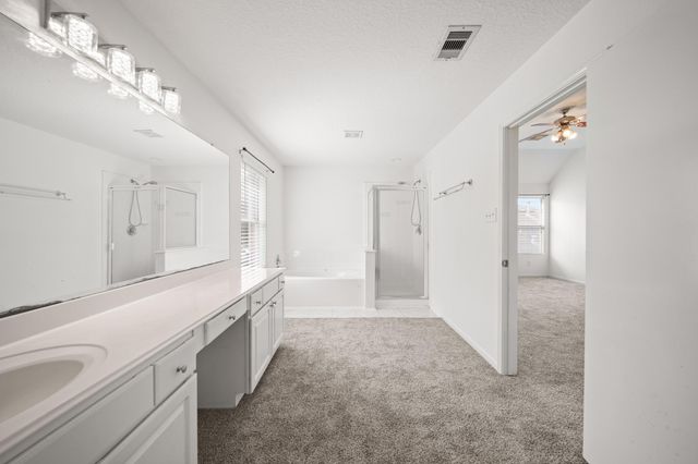 20218 Ricewood Village Trail, Katy, TX 77449