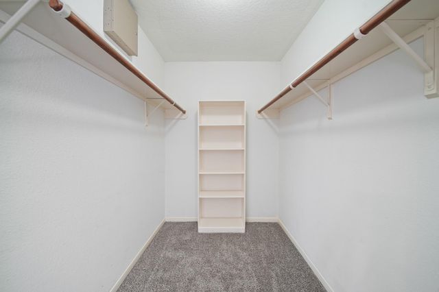 20218 Ricewood Village Trail, Katy, TX 77449