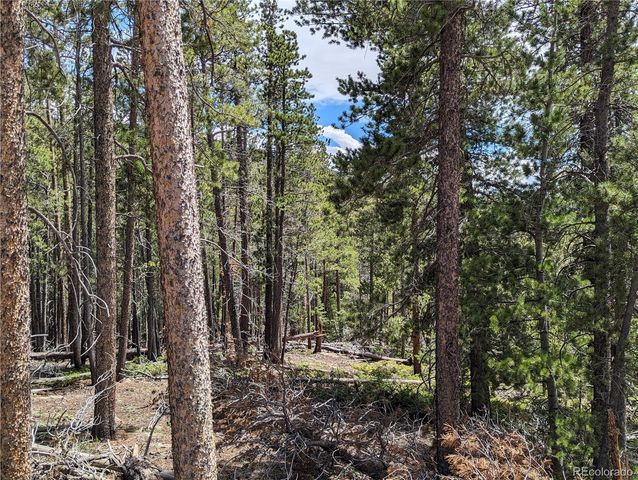 3159 Purnell Lane, Fort Garland, CO 81133