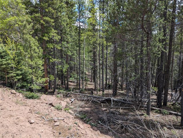 3159 Purnell Lane, Fort Garland, CO 81133