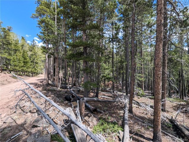 3159 Purnell Lane, Fort Garland, CO 81133
