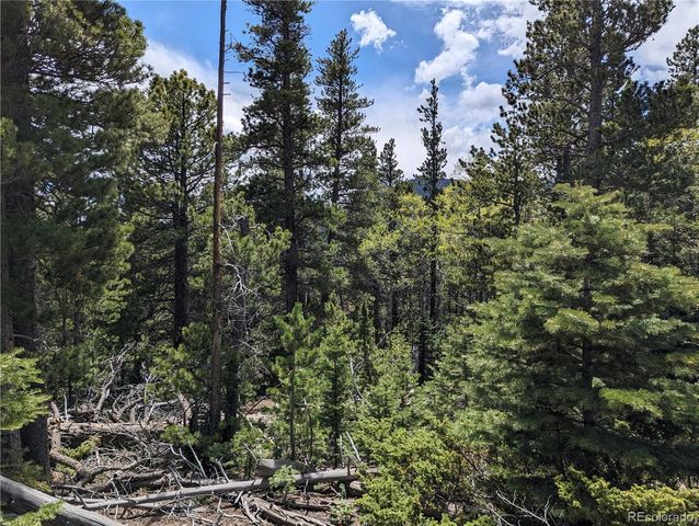 3159 Purnell Lane, Fort Garland, CO 81133