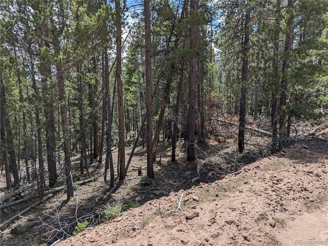3159 Purnell Lane, Fort Garland, CO 81133