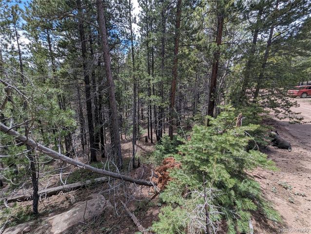 3159 Purnell Lane, Fort Garland, CO 81133