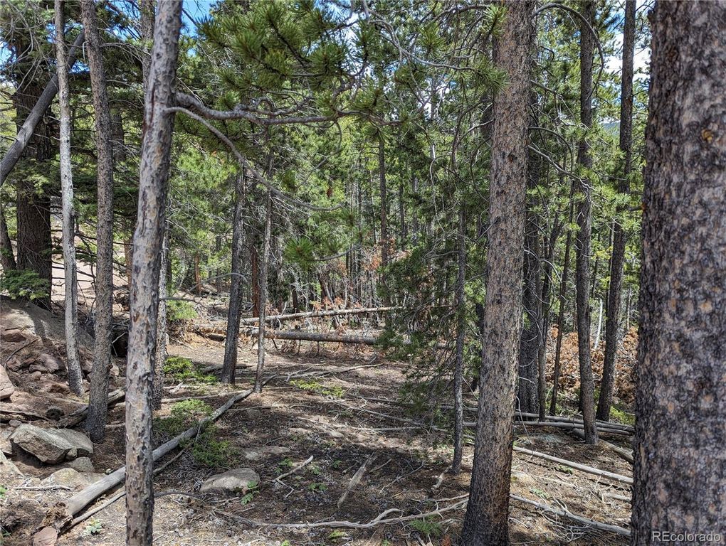 3159 Purnell Lane, Fort Garland, CO 81133