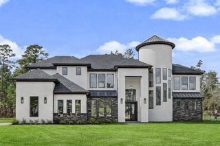 18556 Michaels Run, Montgomery, TX 77316